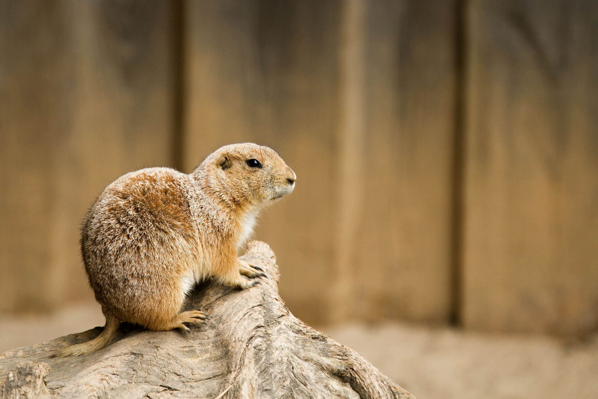 テストtest_hall07やぁん