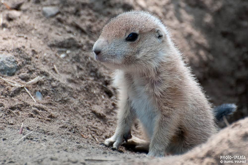 テストtest_hall03のむい