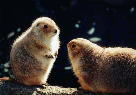 テストtest_hall08ぷとこたがうぎせこ